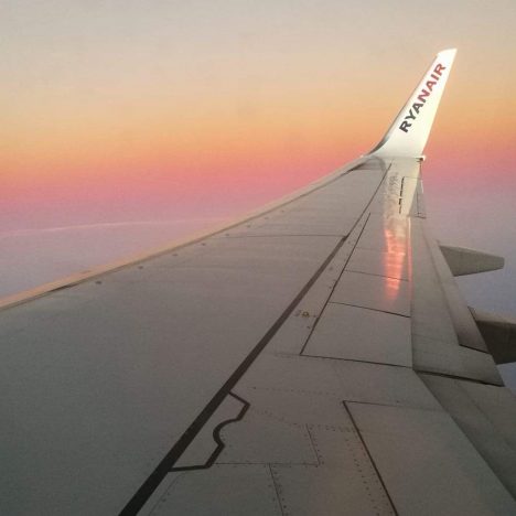 Behind the Mead Hall: My Journey Through Fire, Friendship, and Feasting